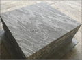 Biasca Gneiss granite paving stone 2