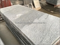 Biasca Gneiss granite paving stone