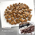 pebble stone for epoxy flooring