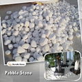 white cobble stone  1