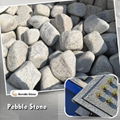 white granite cobble 1