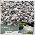 white sesame granite gravel 1