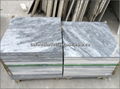 white & grey marble tile