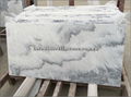 white & grey marble tile