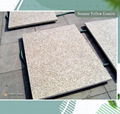 yellow sesame granite stone