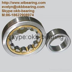 NU321E Bearing   105x225x49