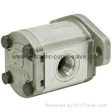 CASAPPA Hydraulic Motor 