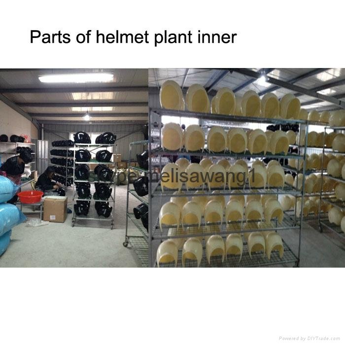 helmet plant 
