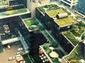 Green roof garden  3