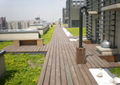 Green roof garden  5