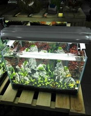 Aquatic ecological aquarium 