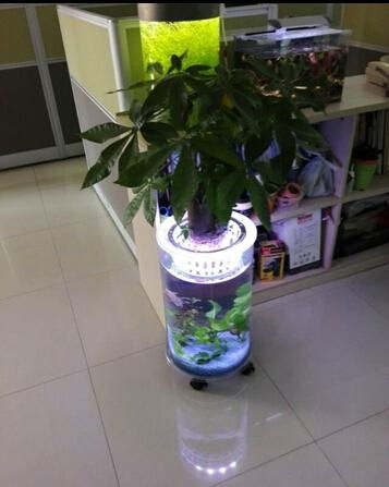 大号水草生态花瓶 2