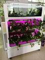 Aquiculture flower shelf