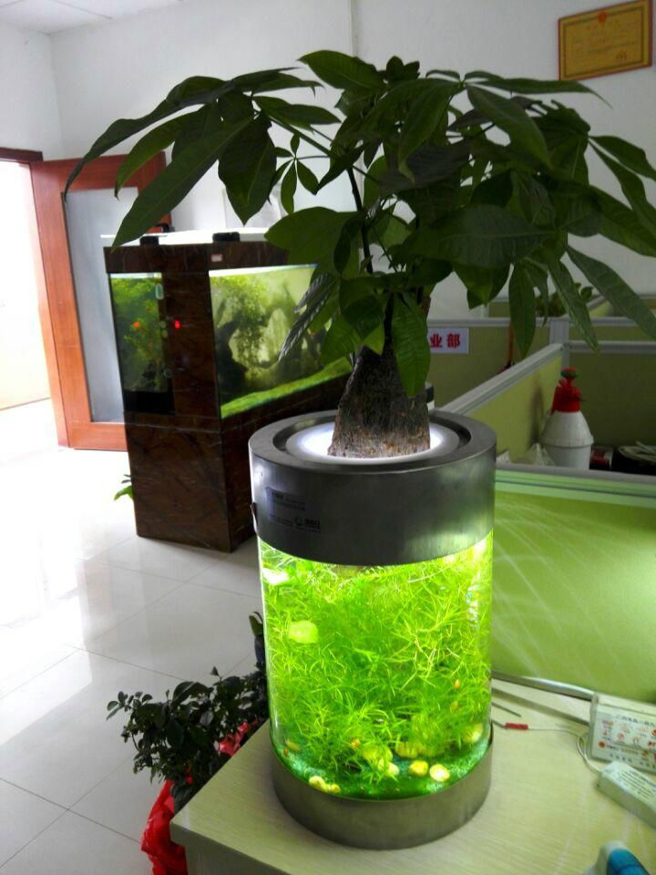 中号水草生态花瓶 4