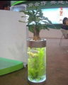 Aquatic ecological vase  2