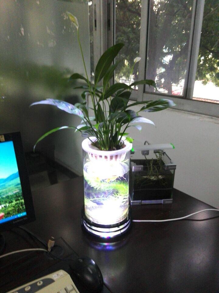 小号水草生态花瓶 360空间种植 中国广东省生产商 花卉 园艺产品 自助贸易 小号水草生态花瓶 360空间种植 中国广东省生产商 花卉 园艺产品 自助贸易