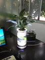 小號水草生態花瓶 2