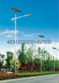 新農村建設雲川光電30WLED太陽能路燈 1