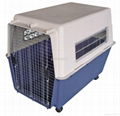 FC-0704 designed pp plastic pet crate