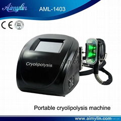 cryolipolysis/criolipolisis/kryolipolise