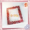 Custom Acrylic Photo Frame with Specimen Resin Picture Frame 