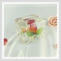 Customize Acrylic Globe Embedment Resin Paperweight Lucite Block Paperweight  2