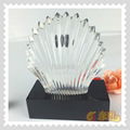  Customize Acrylic Award Pmma Trophy Resin Award for Souvenir  5