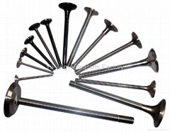 intake & exhaust engine valves