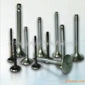 engine valves