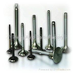 BMW engine valves