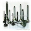 BMW engine valves 1