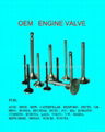 Mitsubishi engine valves 1