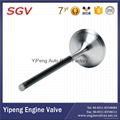 intake & exhaust engine valves 3