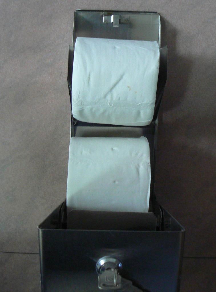 S/S Twin Roll Toilet Tissue Dispenser 3