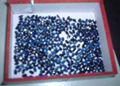 supply china local natural sapphire