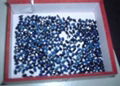 supply china local natural sapphire 1