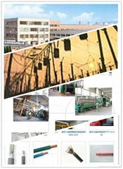 Qingdao Cable Co., Ltd