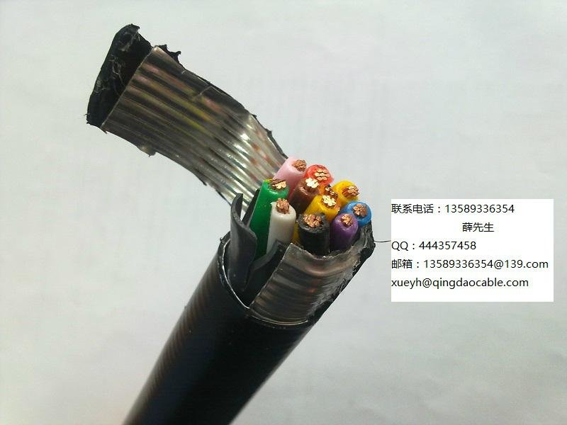 噴灌機電纜灌溉電纜Irrigation Cable美標UL認証電纜