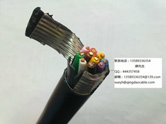 噴灌機電纜灌溉電纜Irrigation Cable美標UL認