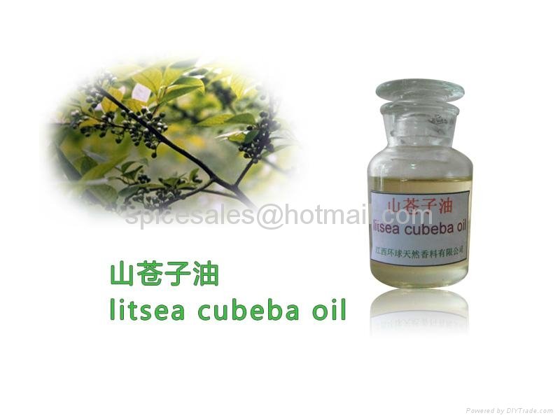 Factory Supply Food grade of bulk Litsea Cubeba Oil Price  2