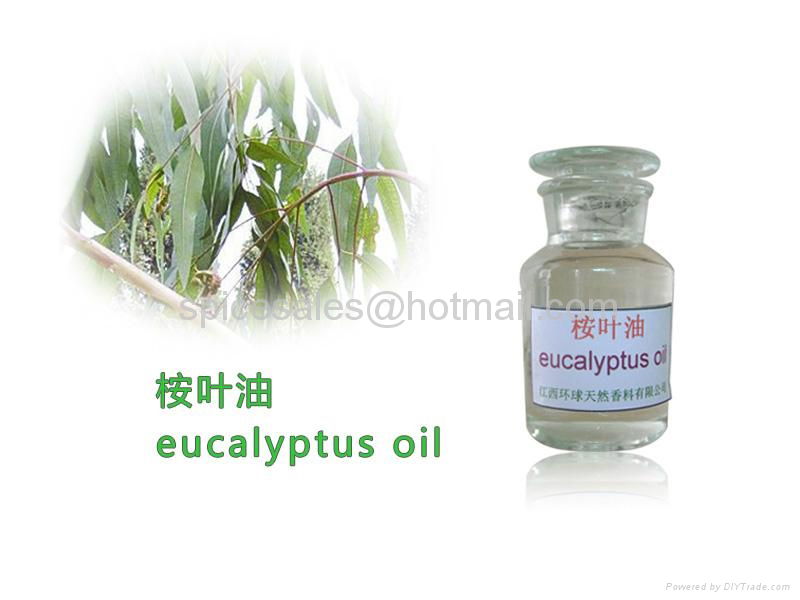 Eucalyptus Oil 100% Pure, Best Therapeutic Grade Essential Oil 2