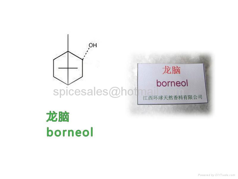 Borneol,DL-borneol,Camphol Linderol,Bornyl alcohol,1490-04-6