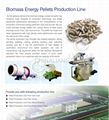 Biomass Pellets Production Line 1