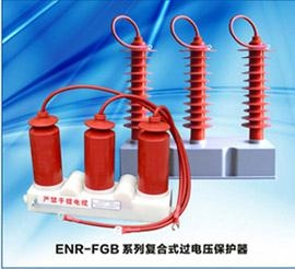 ENR-FGB型复合式过电压保护器