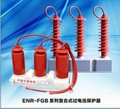 ENR-FGB型复合式过电压保护器