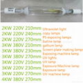 3KW 410nm 350mm UV Gallium GA Lamp for screen printing Plate exposure