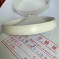 ceramic ring for pad printing parts