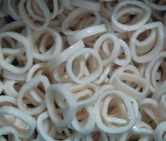 frozen squid ring