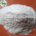 China abrasives white corundum  4