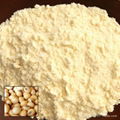 Soya Flour